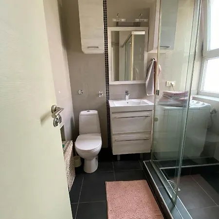 Center Apartment Belgrade