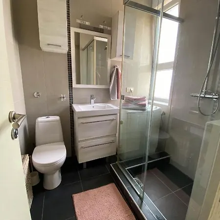 Center Apartment Belgrade